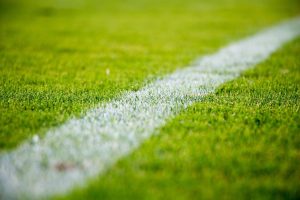 fußball rasen